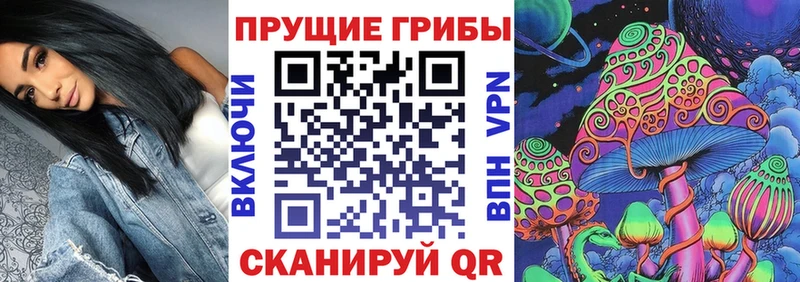Псилоцибиновые грибы прущие грибы  дарк нет состав  Лахденпохья 
